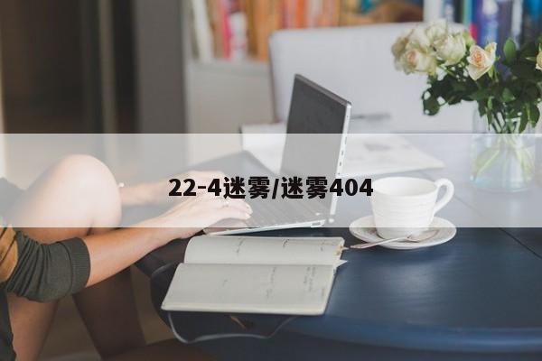 22-4迷雾/迷雾404