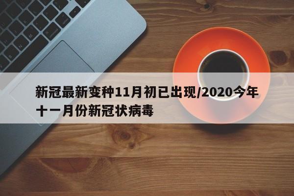 新冠最新变种11月初已出现/2020今年十一月份新冠状病毒